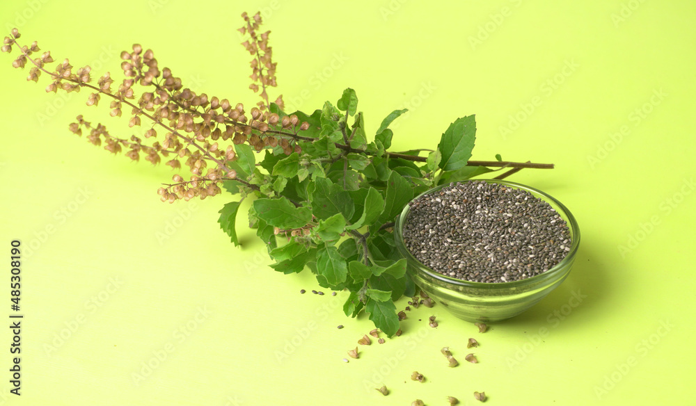 Holy basil, tulasi or tulsi, is an aromatic perennial plant in the