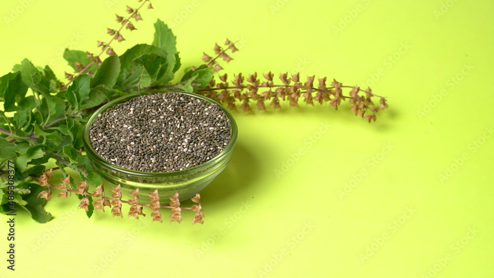 Holy basil, tulasi or tulsi, is an aromatic perennial plant in the