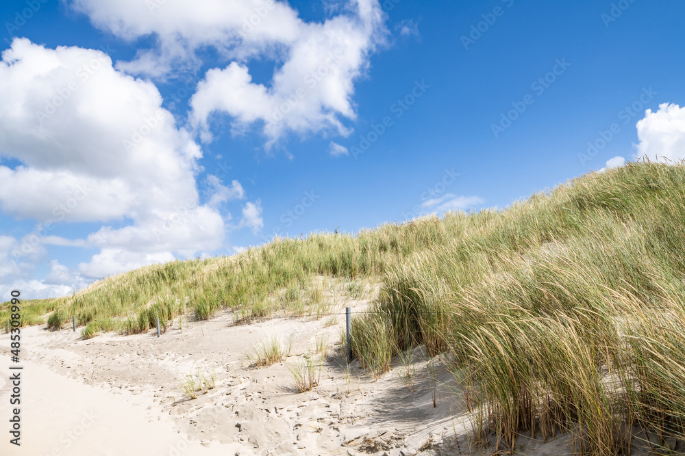 Summer vacation on the dune beach