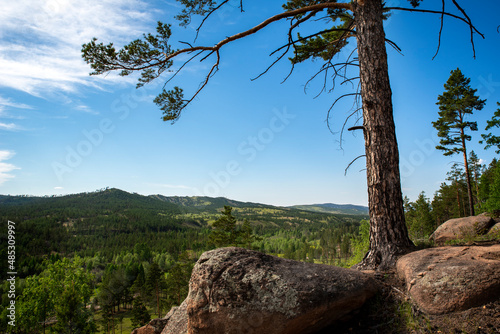view from the cliff to the green forest