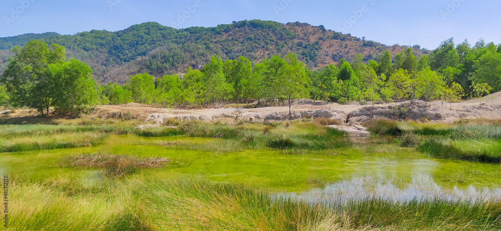 Natural scene including trees, lakes and sand and rocks with many colors Natural scene including trees, lakes and sand and rocks with many colors