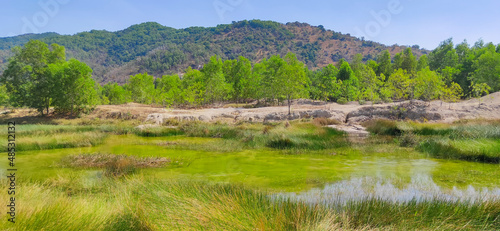 Natural scene including trees, lakes and sand and rocks with many colors