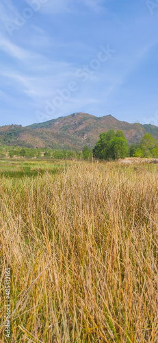 Natural scene including trees, lakes and sand and rocks with many colors