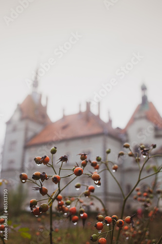 Shenborn French Counts Palace Karpaty Villge, Carpathian Region (Oblast)m Zakarpattia, Renaissance photo