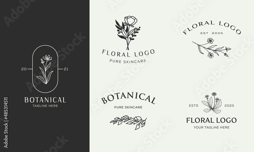 Set of Botanical Floral element Hand Drawn Logo with Wild Flower and Leaves. Logo for spa and beauty salon, boutique, organic shop, wedding, floral designer, interior, photography, cosmetic.