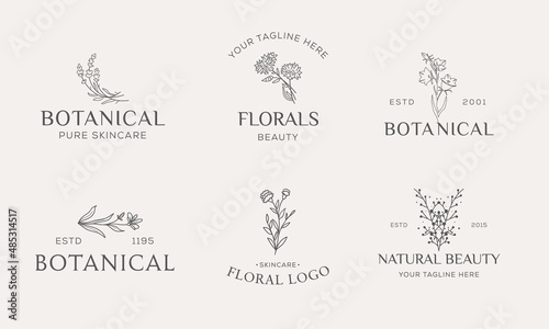 Set of Botanical Floral element Hand Drawn Logo with Wild Flower and Leaves. Logo for spa and beauty salon, boutique, organic shop, wedding, floral designer, interior, photography, cosmetic.