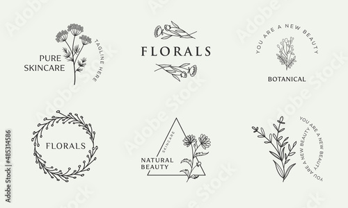 Set of Botanical Floral element Hand Drawn Logo with Wild Flower and Leaves. Logo for spa and beauty salon, boutique, organic shop, wedding, floral designer, interior, photography, cosmetic.