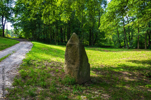 Tiefental bei Königsbrück, Sachsen, Deutschland photo