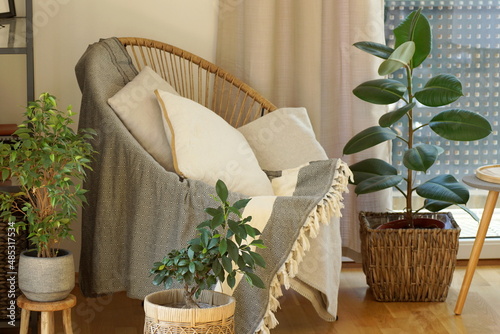 View of a cozy reading corner with a seat surrounded by potted tropical plants photo