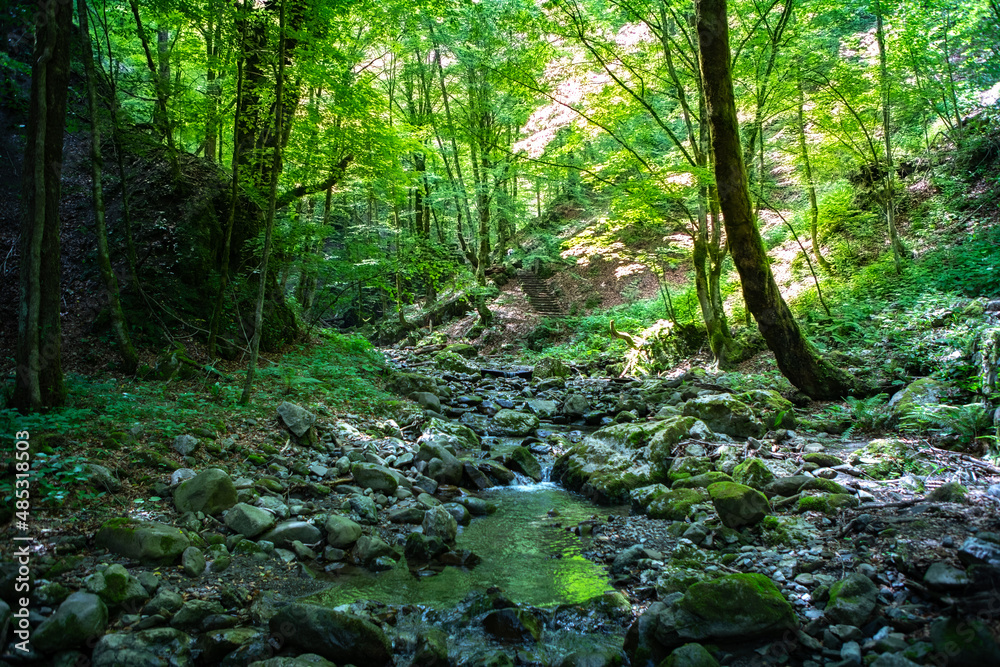 Obraz premium Zagreb, Croatia - June 2021. Nature Park Canyon Devil's Passage