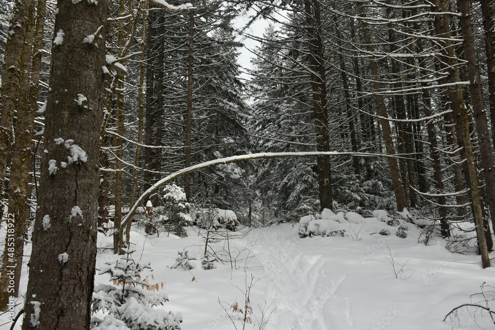 Fototapeta premium Mont Singer Ruiter Vallée 5 Février 2022