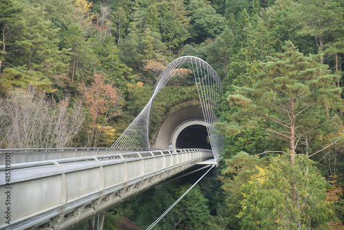 森の中の橋