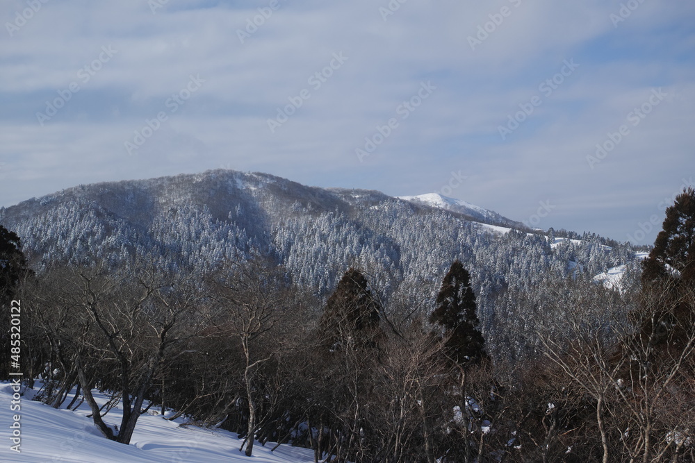 雪化粧をした山々 雪化粧をした山々