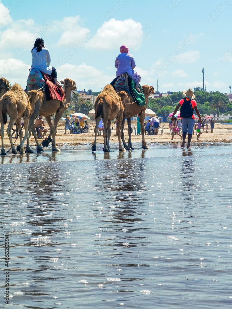 Naklejka premium Camel caravan on the beach