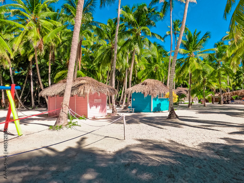 Beautiful Saona Island in Dominican Republuc. Caribbean Sea with clear blue water and green palms. Tropical beach. The best beach in the world.