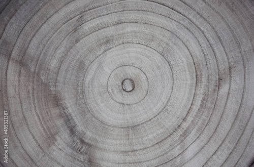 Abstract background. Wood texture. Annual rings on a saw cut tree close-up.