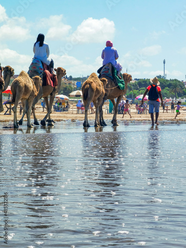 Camel caravan on the beach
