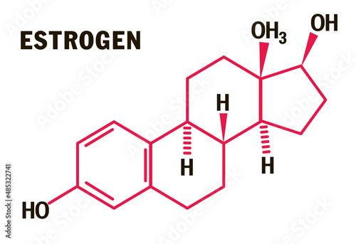 Estrogen hormones molecular formula. Estrogen Hormones symbol. Sex hormone symbol isolated on a white background photo