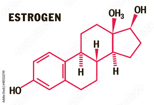 Estrogen hormones molecular formula. Estrogen Hormones symbol. Sex hormone symbol isolated on a white background