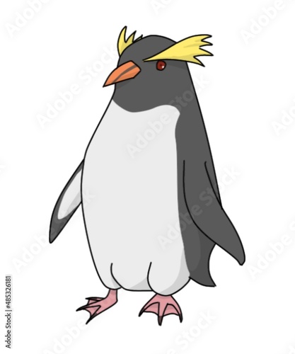 A simple illustration of a fiordland penguin photo