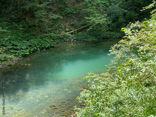 Protected landscape karst spring Kamacnik or the source of the river Kamačnik Gorski kotar - Vrbovsko, Croatia (Zaštićeni krajolik kraško vrelo Kamačnika ili izvor rječice Kamačnik u Gorskom kotaru)