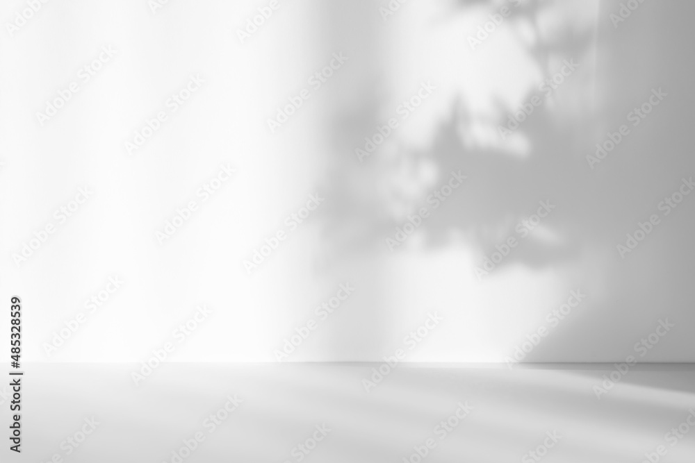 Abstract white studio background for product presentation. Empty room with shadows of window and flowers and palm leaves . 3d room with copy space. Summer concert. Blurred backdrop. - obrazy, fototapety, plakaty 