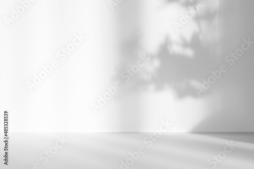 Abstract white studio background for product presentation. Empty room with shadows of window and flowers and palm leaves . 3d room with copy space. Summer concert. Blurred backdrop. photo