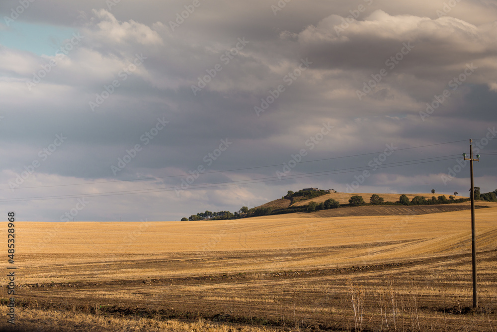 South Italy in summer. Apulian landscape near Spinazzola, Alta Murgia