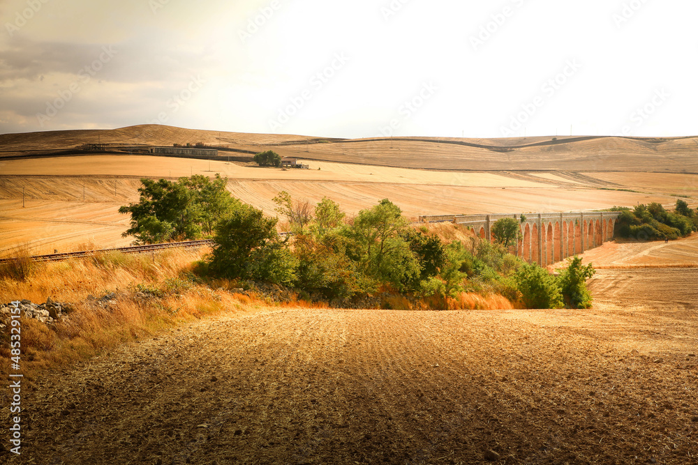 Fototapeta premium South Italy in summer. Apulian landscape near Spinazzola, Alta Murgia
