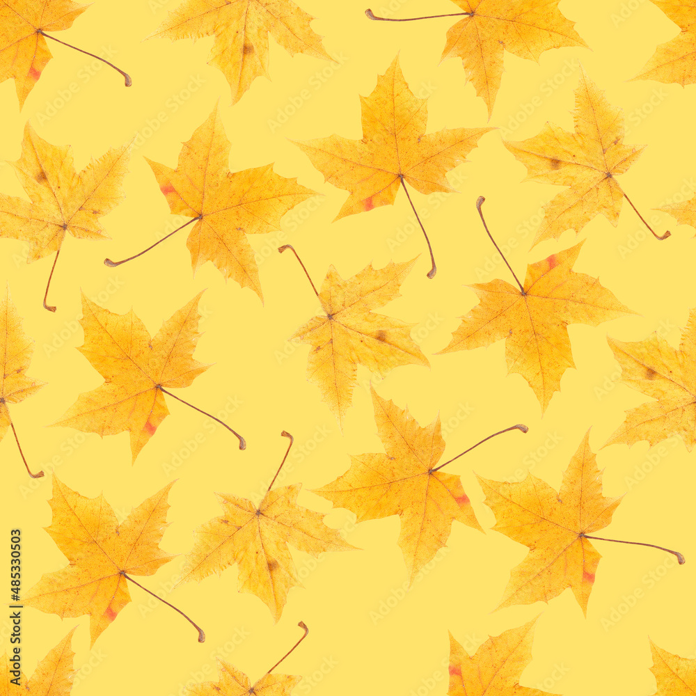 Seamless texture of autumn leaves. Autumn leaves. Seamless texture of autumn leaves. Autumn leaves.