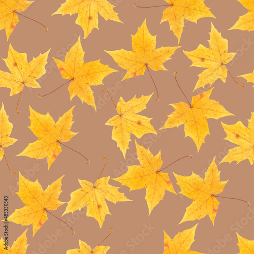 Seamless texture of autumn leaves. Autumn leaves.