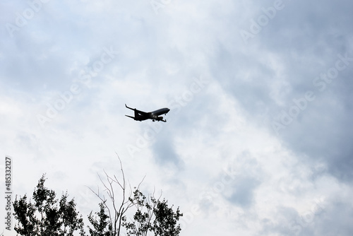 Plane flying in cloudy sky above tree branches