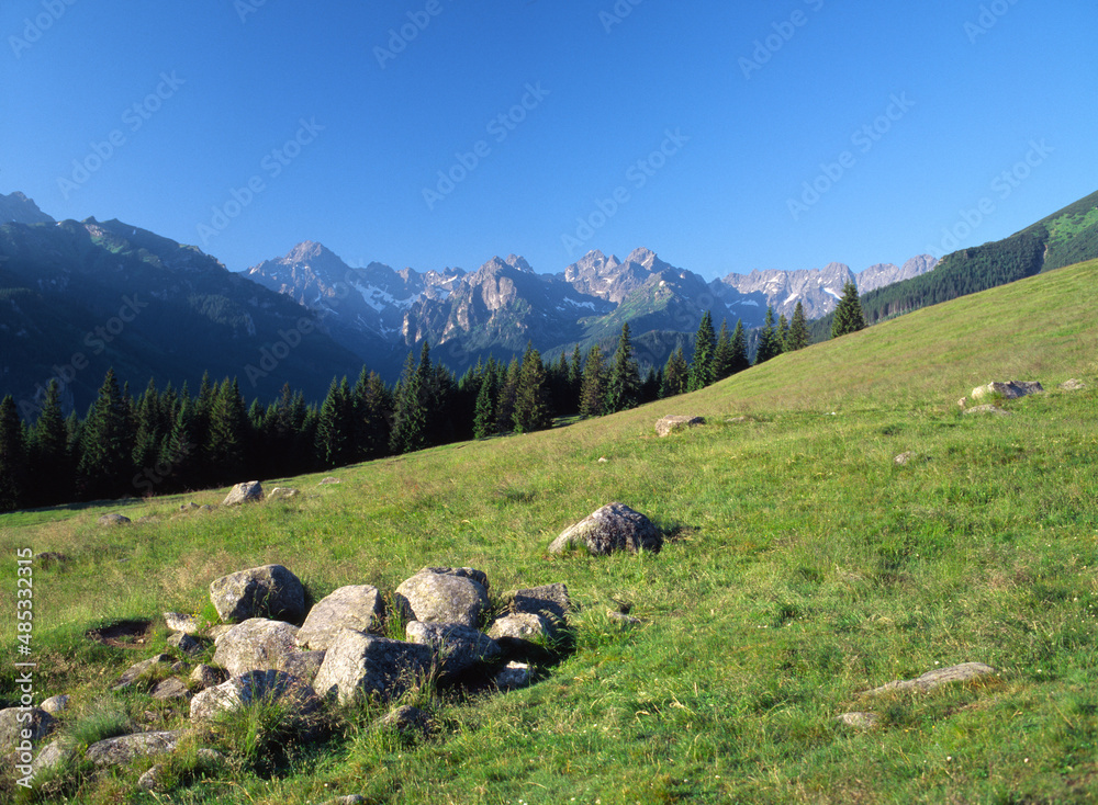Rusinowa Polana and the Tatra (Tatry) Mountains, Poland