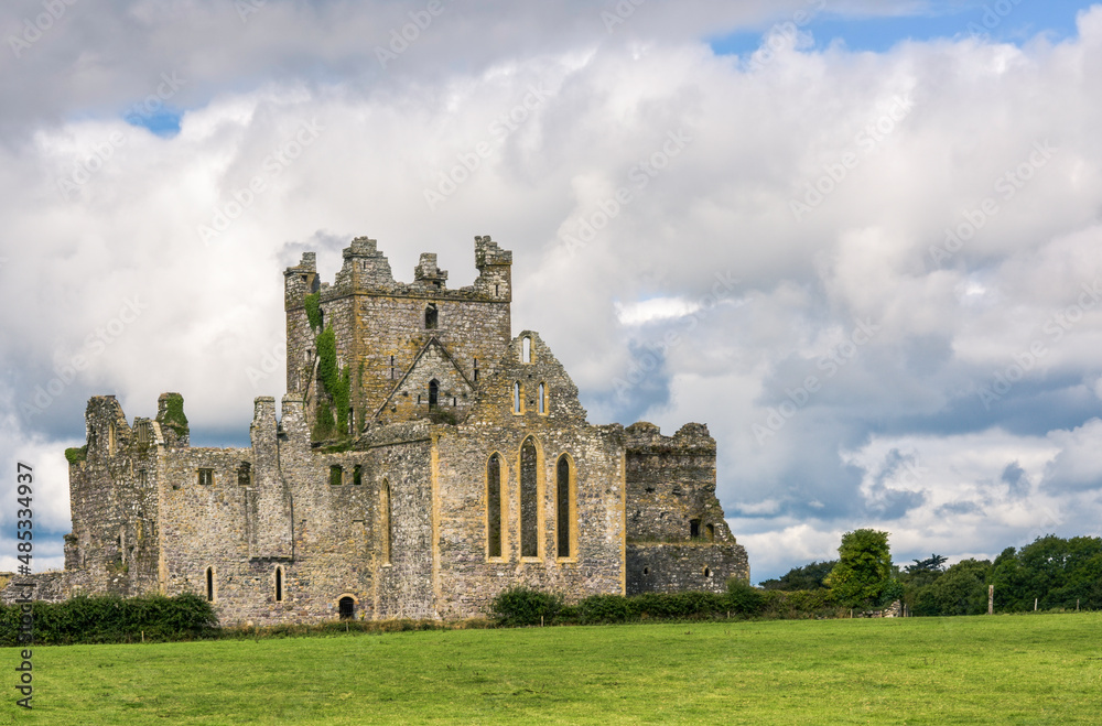 Cistercian Monastery Dunbrody Abbey on green meadow against cloudy sky, County Wexford, Ireland