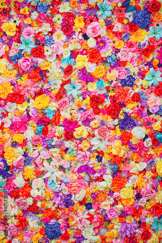 虹色でカラフルな花壁