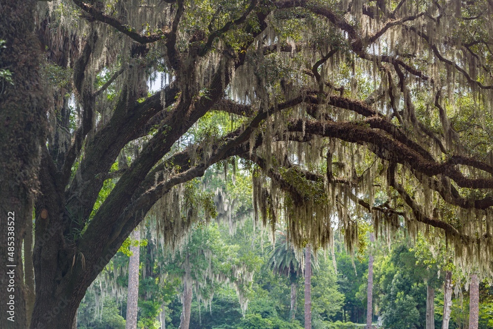 Naklejka premium creative