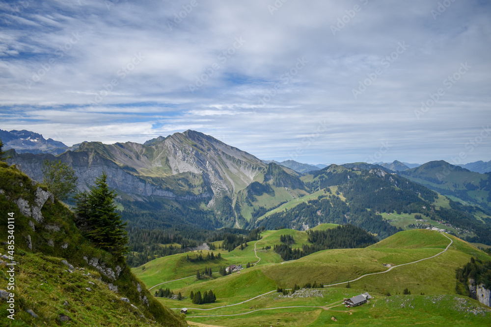 Fototapeta premium landscape in summer