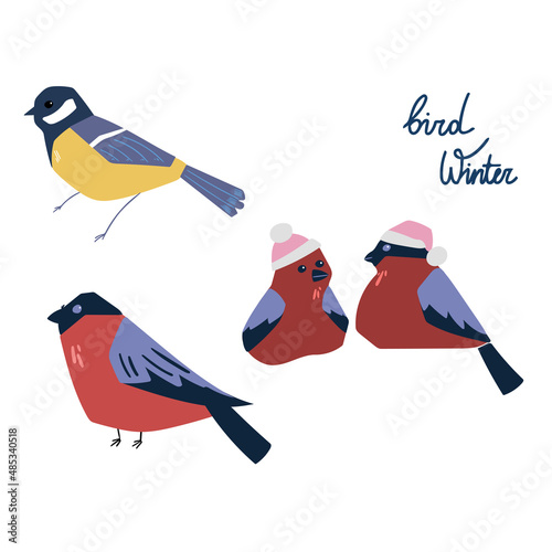 A set of winter birds: bullfinches and tits. Illustration of nature. Vector illustration on a white background
