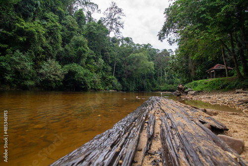 Fluss im Dschungel / Urwald