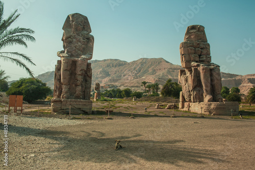 Amenhotep III Colossi of Memnon, Luxor - the royal city in Egypt photo