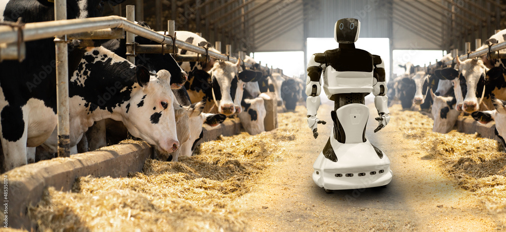 Robot on a dairy farm. Smart farming concept. Stock Photo | Adobe Stock