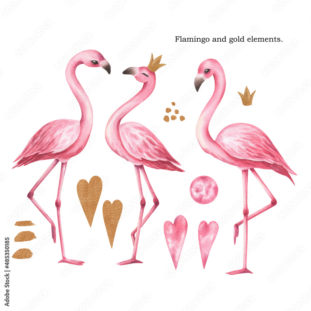 Obraz premium Watercolor set with flamingos and gold elements. 
