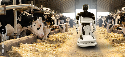 Foto Robot on a dairy farm. Smart farming concept.