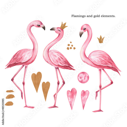 Watercolor set with flamingos and gold elements. © Aleksandra Baianova