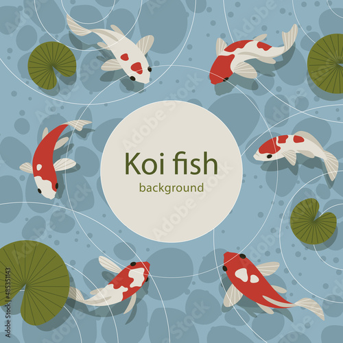 Pond with koi fish. Square banner with place for text. Vector illustration.