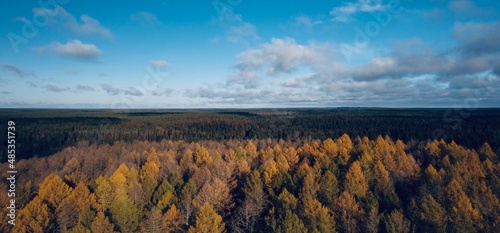 Aerial shot, top view of a beautiful autumn forest