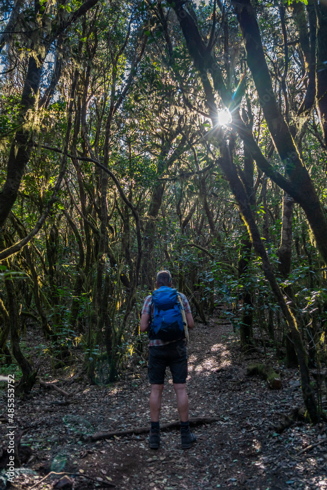 Wanderurlaub auf LA GOMERA, Kanarische Inseln: Mann bei Wanderung im mystischen Lorbeerwald, Nationalpark Garajonay
