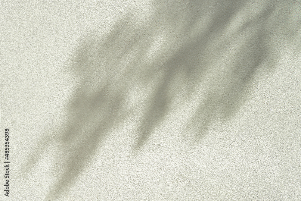 trees branch with shadow on concrete wall                