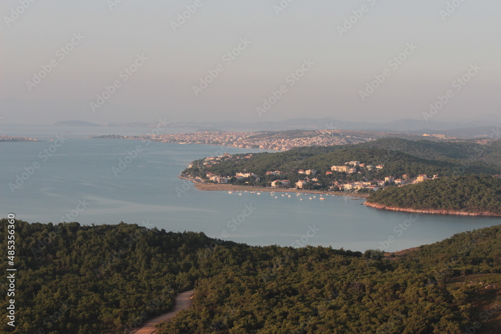 Aerial View of Town by the Sea in the Forest