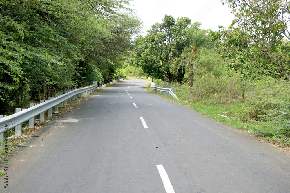 Asphalt road through the forest, with bike line along Asphalt road through the forest, with bike line along